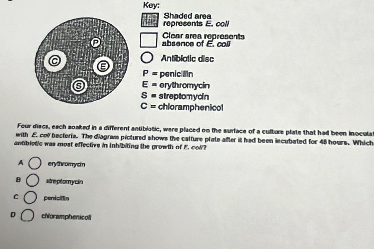 Key:
Shaded area
represents E. coli
Clear area represents
absence of E. coll
Antiblotic disc
P= penicillin
E= erythromycin
S= streptomycin
C= chloramphenicol
Four discs, each soaked in a different antibiotic, were placed on the surface of a culture plate that had been inocula
with E. coll bacteria. The diagram pictured shows the culture plate after it had been incubated for 48 hours. Which
antibiotic was most effective in inhibiting the growth of E. coli?
A erythromycin
B streptamycin
C penicillin
D chloramphenicoli