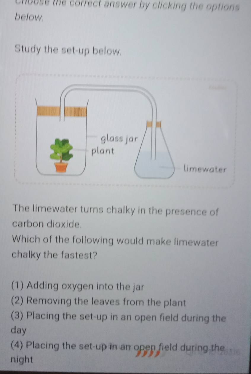 Chobse the correct answer by clicking the options
below.
Study the set-up below.
The limewater turns chalky in the presence of
carbon dioxide.
Which of the following would make limewater
chalky the fastest?
(1) Adding oxygen into the jar
(2) Removing the leaves from the plant
(3) Placing the set-up in an open field during the
day
(4) Placing the set-up in an open field during the
night