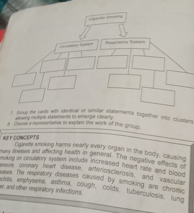 Cigarette Smoking 
Circulatory System Respiratory System 
7. Group the cards with identical or similar statements together into clusters 
allowing multiple statements to emerge clearly. 
8. Choose a representative to explain the work of the group. 
KEY CONCEPTS 
Cigarette smoking harms nearly every organ in the body, causing 
many illnesses and affecting health in general. The negative effects of 
moking on circulatory system include increased heart rate and blood . 
essure, coronary heart disease, arteriosclerosis, and vascular 
eases. The respiratory diseases caused by smoking are chronic 
achitis, emphysema, asthma, cough, colds, tuberculosis, lung 
er, and other respiratory infections.