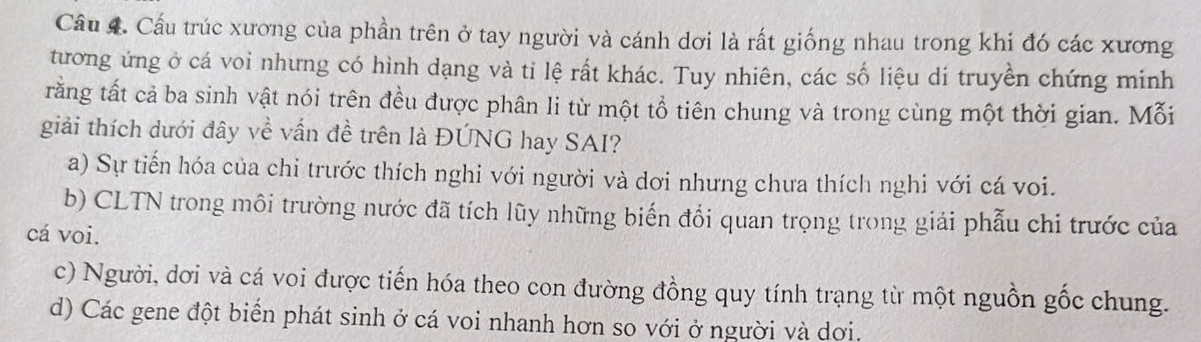 Cầu trúc xương của phần trên ở tay người và cánh dơi là rất giống nhau trong khi đó các xương
tương ứng ở cá voi nhưng có hình dạng và tỉ lệ rất khác. Tuy nhiên, các số liệu di truyền chứng minh
rằng tất cả ba sinh vật nói trên đều được phân li từ một tổ tiên chung và trong cùng một thời gian. Mỗi
giải thích dưới đây về vấn đề trên là ĐÚNG hay SAI?
a) Sự tiến hóa của chi trước thích nghi với người và dơi nhưng chưa thích nghi với cá voi.
b) CLTN trong môi trường nước đã tích lũy những biến đổi quan trọng trong giải phẫu chi trước của
cá voi.
c) Người, dơi và cá voi được tiến hóa theo con đường đồng quy tính trạng từ một nguồn gốc chung.
d) Các gene đột biển phát sinh ở cá voi nhanh hơn so với ở người và dơi.