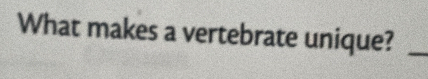 What makes a vertebrate unique?_