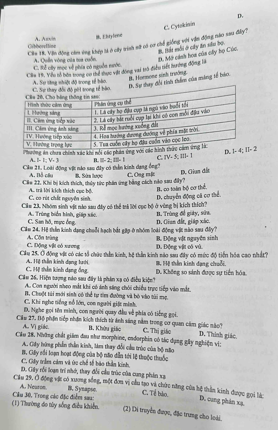 D.
C. Cytokinin
A. Auxin
B. Ehtylene
Cân 18. Vận động cảm ứng khép lá ở cây trinh nữ có cơ chế giống với vận động nào sau đây?
Gibberelline
B. Bắt mồi ở cây ăn sâu bọ.
A. Quần vòng của tua cuốn.
D. Mở cánh hoa của cây họ Cúc.
C. Rễ cây mọc về phía có nguồn nước.
Câu 19. Yếu tổ bên trong cơ thể thực vật đóng vai trò điều tiết hướng động là
B. Hormone sinh trưởng.
A. Sự tăng nhiệt độ trong tế bảo.
y đổi tính thẩm của màng tế bào.
Phướng án chưa chính xác khi nổi các phản ứn
A. I -1:V-3 B. lI- 2; III- 1
C. IV- 5; III- 1 2
Câu 21. Loài động vật nào sau đây có thần kinh dạng ống?
A. Bồ câu B. Sứa lược C. Ong mật D. Giun đất
Câu 22. Khi bị kích thích, thủy tức phản ứng bằng cách nào sau đây?
A. trả lời kích thích cục bộ.
B. co toàn bộ cơ thể.
C. co rút chất nguyên sinh.
D. chuyển động cả cơ thể.
Câu 23. Nhóm sinh vật nào sau đây có thể trả lời cục bộ ở vùng bị kích thích?
A. Trùng biến hình, giáp xác. B. Trùng đế giày, sứa.
C. San hô, mực ống. D. Giun đất, giáp xác.
Câu 24. Hệ thần kinh dạng chuỗi hạch bắt gặp ở nhóm loài động vật nào sau đây?
A. Côn trùng B. Động vật nguyên sinh
C. Động vật có xương D. Động vật có vú.
Câu 25. Ở động vật có các tổ chức thần kinh, hệ thần kinh nào sau đây có mức độ tiến hóa cao nhất?
A. Hệ thần kinh dạng lưới. B. Hệ thần kinh dạng chuỗi.
C. Hệ thần kinh dạng ổng. D. Không so sánh được sự tiến hóa.
Câu 26. Hiện tượng nào sau đây là phản xạ có điều kiện?
A. Con người nheo mắt khi có ánh sáng chói chiếu trực tiếp vào mắt.
B. Chuột túi mới sinh có thể tự tìm đường và bò vào túi mẹ.
C. Khi nghe tiếng nổ lớn, con người giật mình.
D. Nghe gọi tên mình, con người quay đầu về phía có tiếng gọi.
Câu 27. Bộ phận tiếp nhận kích thích từ ánh sáng nằm trong cơ quan cảm giác nào?
A. Vị giác. B. Khứu giác C. Thị giác D. Thính giác.
Câu 28. Những chất giảm đau như morphine, endorphin có tác dụng gây nghiện vì:
A. Gây hứng phần thần kinh, làm thay đổi cầu trúc của bộ não
B. Gây rối loạn hoạt động của bộ não dẫn tới lệ thuộc thuốc
C. Gây trầm cảm và ức chế tế bào thần kinh.
D. Gây rối loạn trí nhớ, thay đổi cấu trúc của cung phản xạ
Câu 29. Ở động vật có xương sống, một đơn vị cầu tạo và chức năng cửa hệ thần kinh được gọi là:
A. Neuron. B. Synapse.
Câu 30. Trong các đặc điểm sau:
C. Tế bào. D. cung phản xạ.
(1) Thường do tủy sống điều khiển. (2) Di truyền được, đặc trưng cho loài.