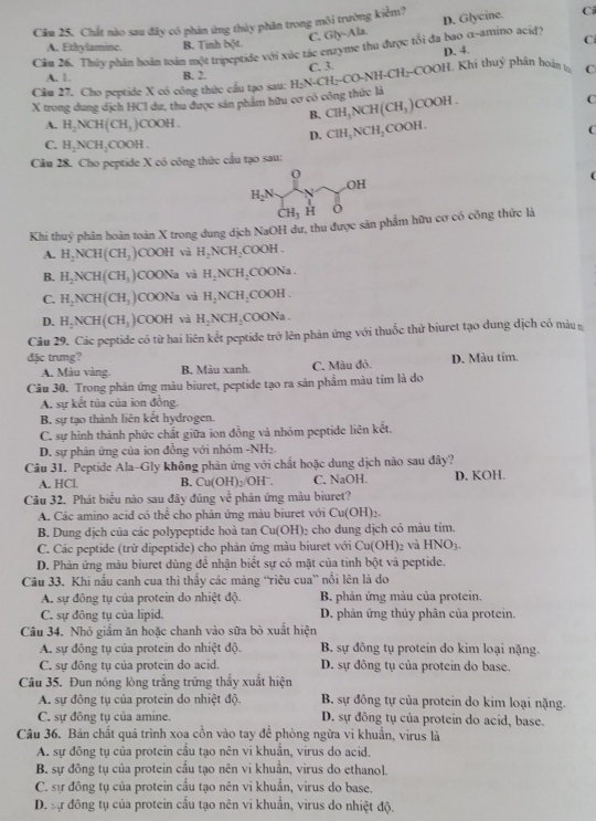 Câu 25, Chất nào sau đây có phản ứng thủy phân trong môi trường kiểm?
C. Gly-Ala. D. Glycine. Cả
A. Ethylamine. B. Tinh bột. C
Cầu 26. Thủy phân hoàn toàn một tripeptide với xúc tác enzyme thu được tối đa bao α-amino acid)
C. 3 D. 4
A. 1. B. 2.
X trong dung dịch HCI dư, thu được sản phẩm hữu cơ có công thức là H_2N-CH_2-CO-N H-CH₂-COOH. Khi thuỷ phân hoàn t C
Câu 27. Cho peptide X có công thức cấu tạo sau:
B. CH_3NCH(CH_3) COOH
C
A. H_2NCH(CH_3)COOH. C OH
D. CH_3NCH_2
C. H_2NCH_2COOH.
Cầu 28. Cho peptide X có công thức cầu tạo sau:
Khi thuỷ phân hoàn toàn X trong dung dịch NaOH dư, thu được sản phẩm hữu cơ có công thức là
A. H_2NCH(CH_3) COO H và H_2NCH_2 COOH.
B. H_2NCH(CH_3) COONa và H_2NCH_2 COONa.
C. H_2NCH(CH_3) COONa và H_2NCH_2 COOH
D. H_2NCH(CH_3) COOH và H_2NCH_2 COONa
Câu 29. Các peptide có từ hai liên kết peptide trở lên phản ứng với thuốc thử biuret tạo dung dịch có màu
đặc trưng? D. Màu tỉm.
A. Màu vàng. B. Màu xanh. C. Màu đỏ.
Câu 30. Trong phản ứng màu biuret, peptide tạo ra sản phẩm màu tím là do
A. sự kết tủa của ion đồng.
B. sự tạo thành liên kết hydrogen.
C. sự hình thành phức chất giữa ion đồng và nhóm peptide liên kết.
D. sự phản ứng của ion đồng với nhóm -NH₂.
Câu 31. Peptide Ala-Gly không phản ứng với chất hoặc dung dịch nào sau đây?
A. HCl. B. Cu(OH)_2 OH , C. NaOH. D. KOH.
Câu 32. Phát biểu nào sau đây đủng 'c' phản ứng màu biuret?
A. Các amino acid có thể cho phản ứng màu biuret với ( Cu(C H)2.
B. Dung dịch của các polypeptide hoà tan Cu(OH) 2 cho dung dịch có màu tím.
C. Các peptide (trừ dipeptide) cho phản ứng màu biuret với Cu(OH)_2 và HNO_3.
D. Phản ứng màu biuret dùng để nhận biết sự có mặt của tỉnh bột và peptide.
Câu 33. Khi nấu canh cua thì thấy các mảng “riêu cua” nổi lên là do
A. sự đông tụ của protein do nhiệt độ.  B phản ứng màu của protein.
C. sự đông tụ của lipid. D. phản ứng thủy phân của protein.
Câu 34. Nhỏ giẩm ăn hoặc chanh vào sữa bò xuất hiện
A. sự đông tụ của protein do nhiệt độ. B. sự đông tụ protein do kim loại nặng.
C. sự đông tụ của protein do acid. D. sự đông tụ của protein do base.
Câu 35. Đun nóng lòng trắng trứng thấy xuất hiện
A. sự đồng tụ của protein do nhiệt độ. B. sự đông tự của protein do kim loại nặng.
C. sự đông tụ của amine. D. sự đông tụ của protein do acid, base.
Câu 36. Bản chất quá trình xoa cồn vào tay đề phòng ngừa vi khuẩn, virus là
A. sự đông tụ của protein cầu tạo nên vi khuẩn, virus do acid.
B. sự đông tụ của protein cầu tạo nên vi khuẩn, virus do ethanol.
C. sĩ đông tụ của protein cầu tạo nên vi khuẩn, virus do base.
D. sự đông tụ của protein cấu tạo nên vi khuẩn, virus do nhiệt độ.