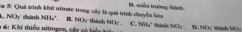 D. miền trưởng thành.
iu 5: Quá trình khử nitrate trong cây là quá trình chuyển hóa
A. NO_3 thành NH_4^(+. B. NO_3) thành NO_2^- C. NH_4^(+ thành NO_2^-) D. NO_2^- thành NO_3^-
* 6: Khi thiếu nitrogen, cây có hiểu hiệt