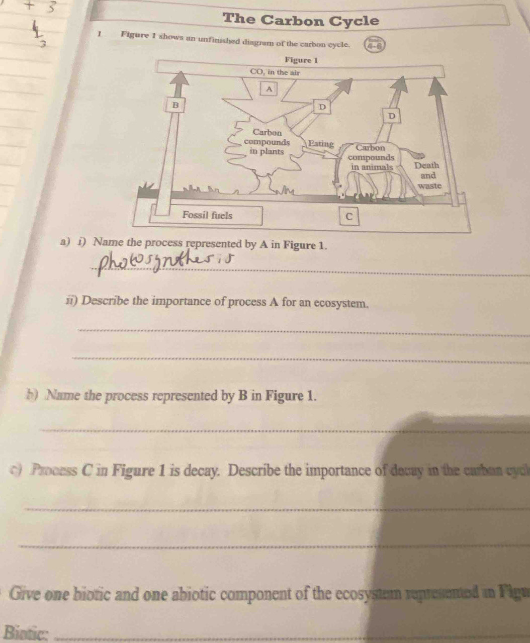 The Carbon Cycle 
1 Figure 1 shows an unfinished diagram of the carbon cycle. 4-5 
a) i) Name the process represented by A in Figure 1. 
_ 
i) Describe the importance of process A for an ecosystem. 
_ 
_ 
b) Name the process represented by B in Figure 1. 
_ 
) Process C in Figure 1 is decay. Describe the importance of decay in the carban cyc 
_ 
_ 
Give one biotic and one abiotic component of the ecosystem represented in Figu 
Biotic:_ 
_ 
_