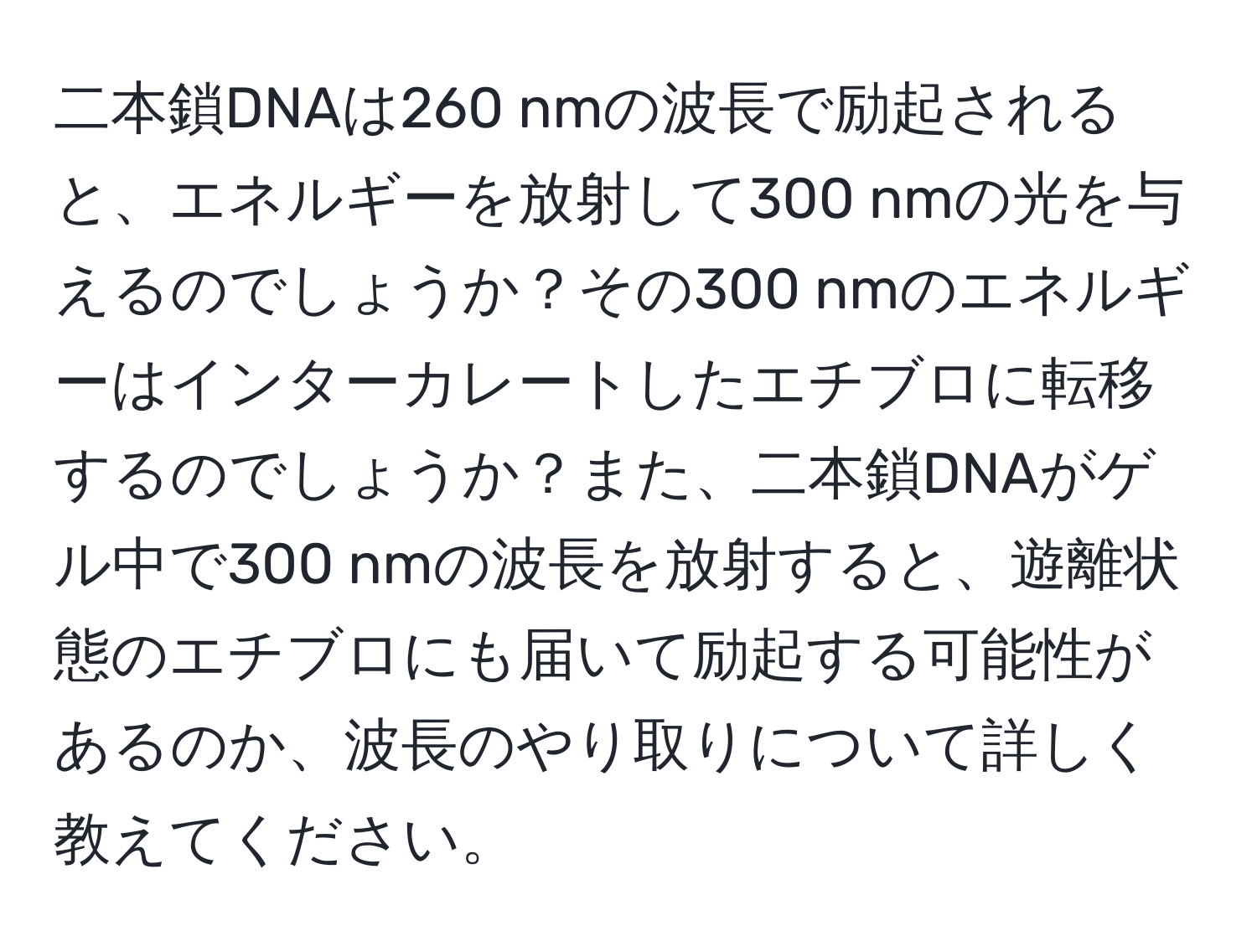 二本鎖DNAは260 nmの波長で励起されると、エネルギーを放射して300 nmの光を与えるのでしょうか？その300 nmのエネルギーはインターカレートしたエチブロに転移するのでしょうか？また、二本鎖DNAがゲル中で300 nmの波長を放射すると、遊離状態のエチブロにも届いて励起する可能性があるのか、波長のやり取りについて詳しく教えてください。