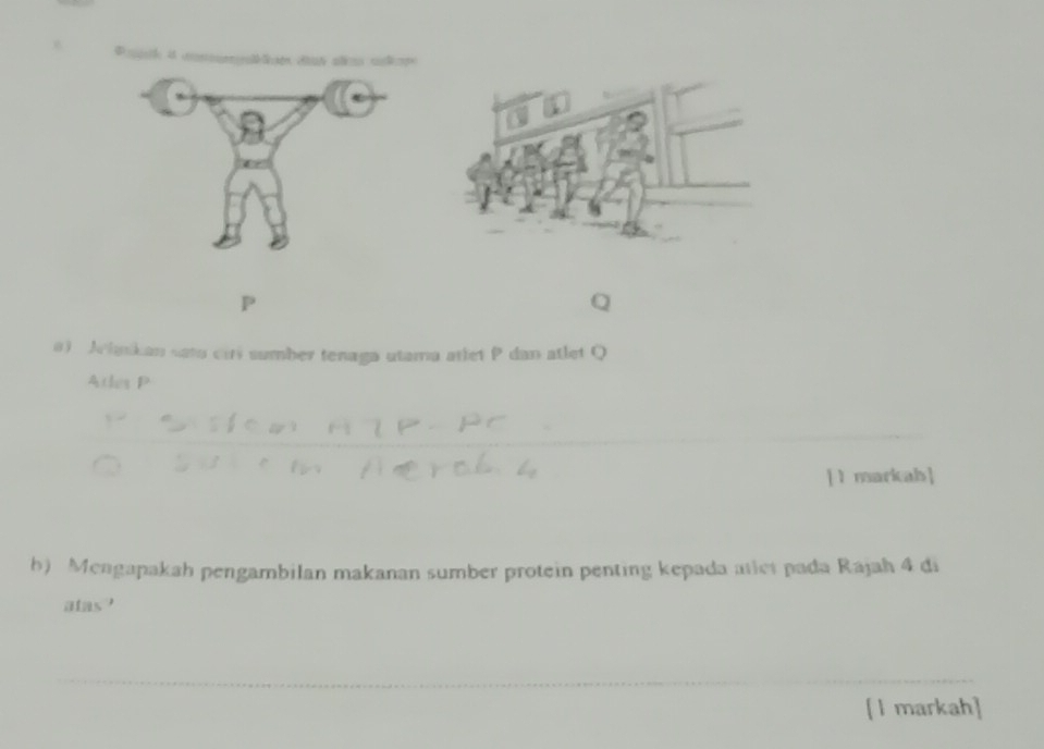 P
a) Jelaskan sato ciri sumber tenaga utama atlet P dan atlet Q
Atles P
[1 markah] 
h) Mengapakah pengambilan makanan sumber protein penting kepada atiet pada Rajah 4 di 
alas? 
[ l markah]