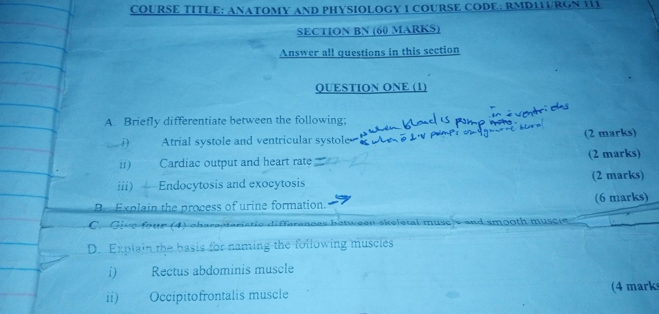 COURSE TITLE: ANATOMY AND PHYSIOLOGY I COURSE CODE: RMDH1/RGN 111 
SECTION BN (60 MARKS) 
Answer all questions in this section 
QUESTION ONE (1) 
A. Briefly differentiate between the following; 
(2 marks) 
i) Atrial systole and ventricular systole= 
ii) Cardiac output and heart rate (2 marks) 
iii) Endocytosis and exocytosis (2 marks) 
B. Explain the process of urine formation. (6 marks) 
C. Give four (4) characteristic differences between skeletal muscle and smooth muscle 
D. Explain the basis for naming the following muscles 
i) a Rectus abdominis muscle 
ii) Occipitofrontalis muscle 
(4 marks