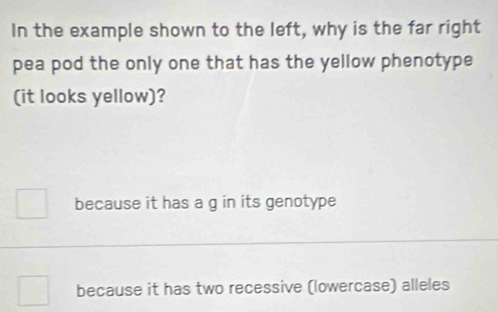 In the example shown to the left, why is the far right
pea pod the only one that has the yellow phenotype
(it looks yellow)?
because it has a g in its genotype
because it has two recessive (lowercase) alleles