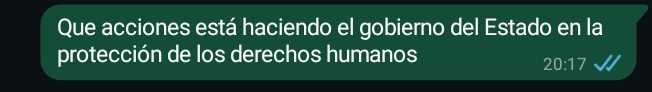 Que acciones está haciendo el gobierno del Estado en la 
protección de los derechos humanos
20:17