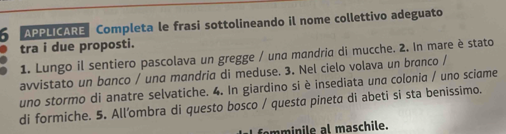 APPLICARE Completa le frasi sottolineando il nome collettivo adeguato 
tra i due proposti. 
1. Lungo il sentiero pascolava un gregge / und mandria di mucche. 2. In mare è stato 
avvistato un banco / una mandria di meduse. 3. Nel cielo volava un branco / 
uno stormo di anatre selvatiche. 4. In giardino si è insediata una colonia / uno sciame 
di formiche. 5. All’mbra di questo bosco / questa pineta di abeti si sta benissimo. 
fomminile al maschile.