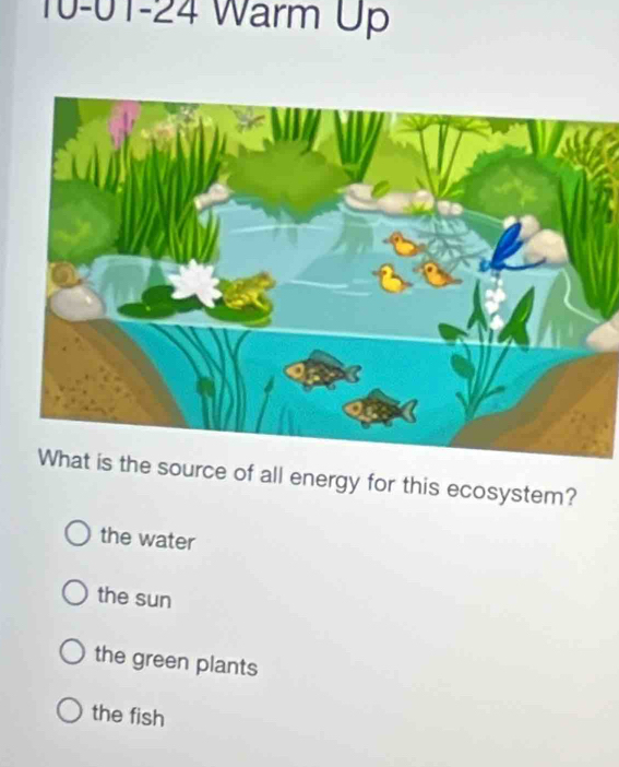 10-01-24 Warm Up
the source of all energy for this ecosystem?
the water
the sun
the green plants
the fish