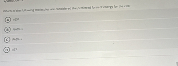 Quesuon
Which of the following molecules are considered the preferred form of energy for the cell?
A ADP
B NADH+
C) FADH+
DATP