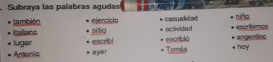 Subraya las palabras agudas 
the 
también ejercicio casualidad 
niño 
italiano sitio actividad escribimos 
lugar escribí escribió angentino 
hoy 
Antonio ayer 
Tomás