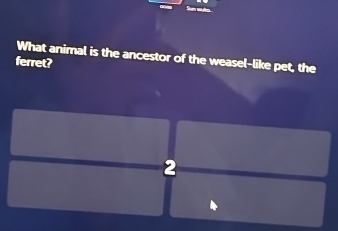 What animal is the ancestor of the weasel-like pet, the 
ferret? 
2