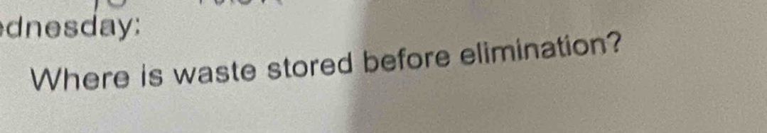 nesday: 
Where is waste stored before elimination?