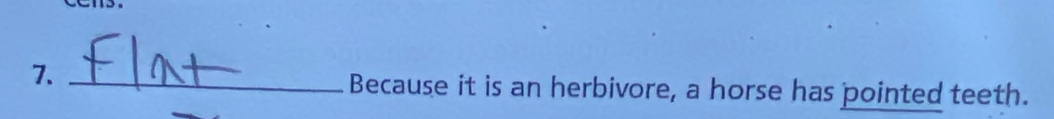 7._ 
Because it is an herbivore, a horse has pointed teeth.
