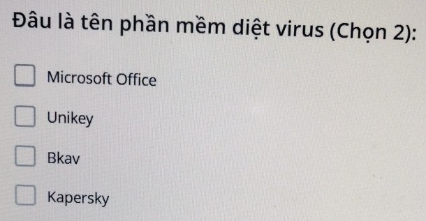 Đâu là tên phần mềm diệt virus (Chọn 2):
Microsoft Office
Unikey
Bkav
Kapersky