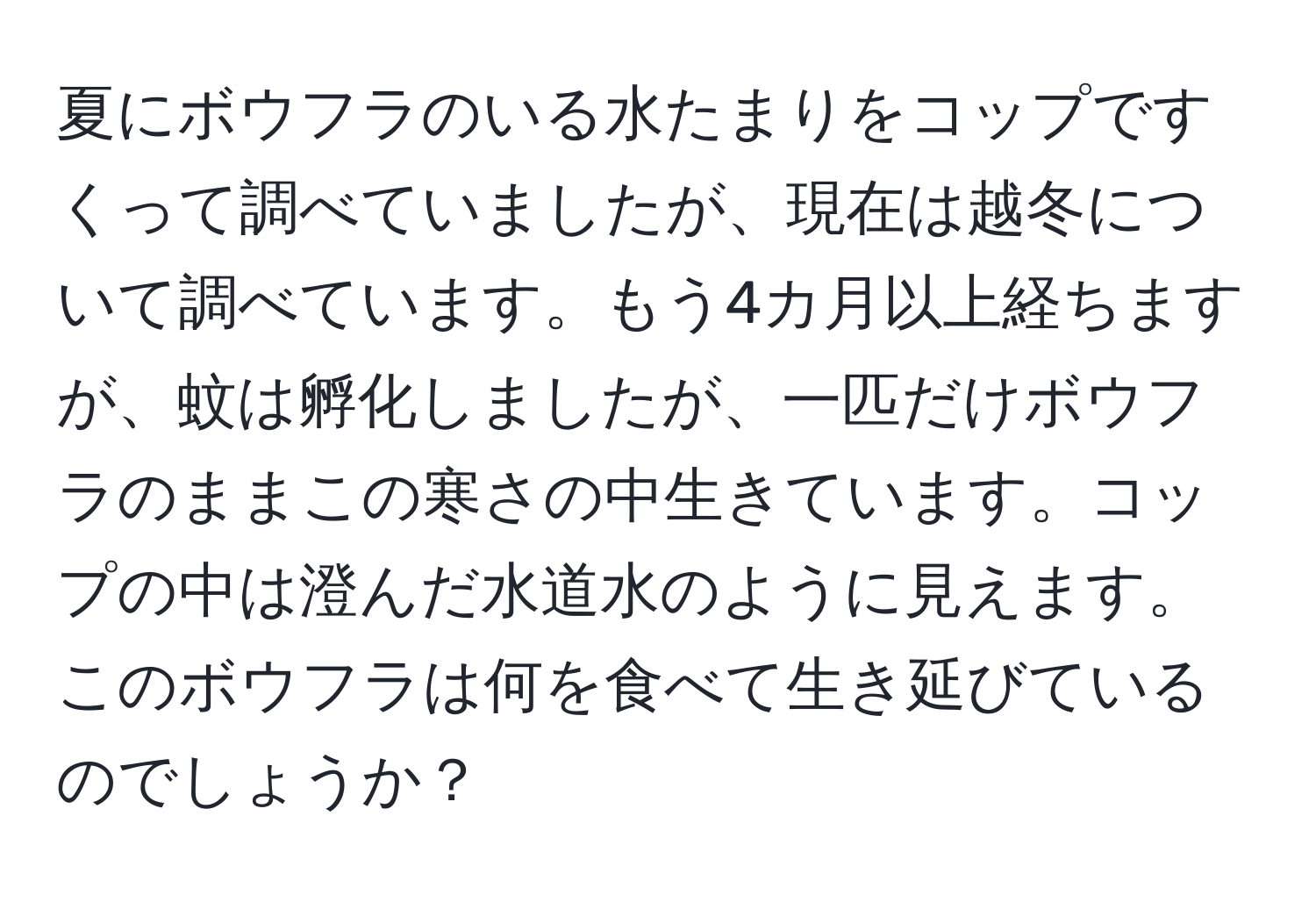 夏にボウフラのいる水たまりをコップですくって調べていましたが、現在は越冬について調べています。もう4カ月以上経ちますが、蚊は孵化しましたが、一匹だけボウフラのままこの寒さの中生きています。コップの中は澄んだ水道水のように見えます。このボウフラは何を食べて生き延びているのでしょうか？