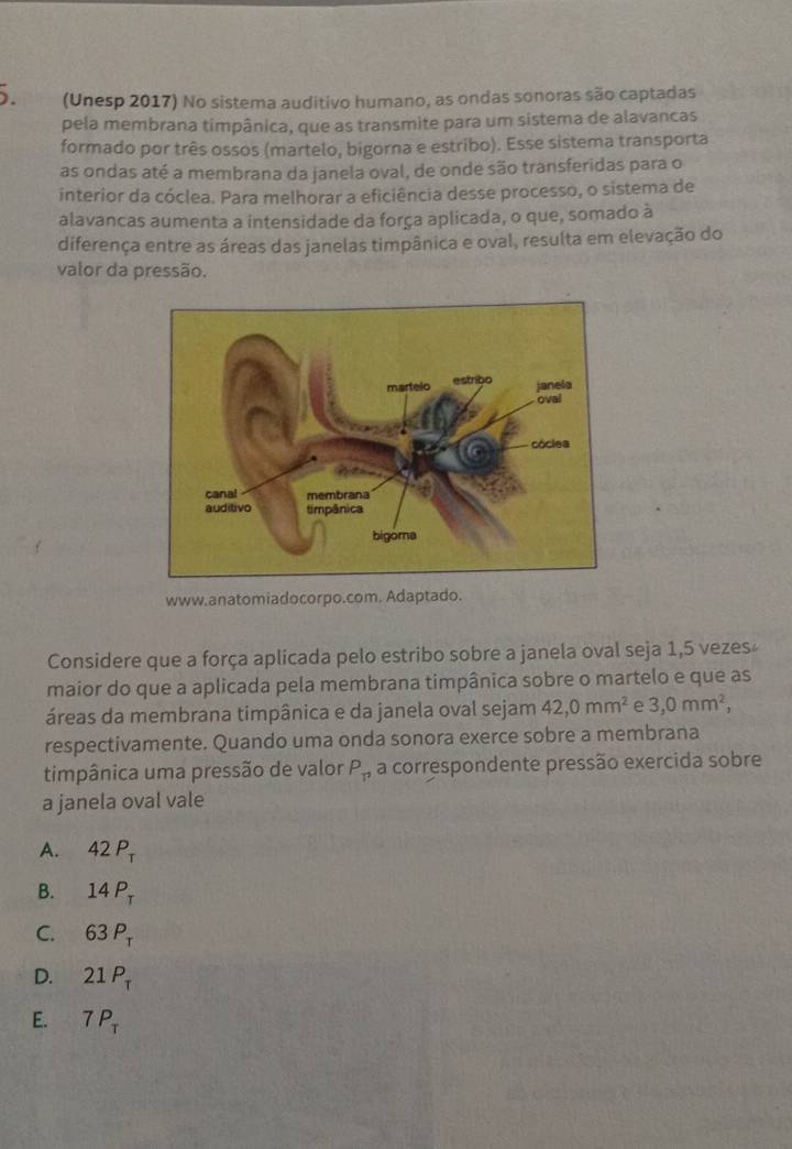 ). (Unesp 2017) No sistema auditivo humano, as ondas sonoras são captadas
pela membrana timpânica, que as transmite para um sistema de alavancas
formado por três ossos (martelo, bigorna e estribo). Esse sistema transporta
as ondas até a membrana da janela oval, de onde são transferidas para o
interior da cóclea. Para melhorar a eficiência desse processo, o sistema de
alavancas aumenta a intensidade da força aplicada, o que, somado à
diferença entre as áreas das janelas timpânica e oval, resulta em elevação do
valor da pressão.
www.anatomiadocorpo.com. Adaptado.
Considere que a força aplicada pelo estribo sobre a janela oval seja 1, 5 vezes
maior do que a aplicada pela membrana timpânica sobre o martelo e que as
áreas da membrana timpânica e da janela oval sejam 42, 0mm^2 e 3, 0mm^2, 
respectivamente. Quando uma onda sonora exerce sobre a membrana
timpânica uma pressão de valor P_r a correspondente pressão exercida sobre
a janela oval vale
A. 42P_T
B. 14P_T
C. 63P_T
D. 21P_T
E. 7P_T