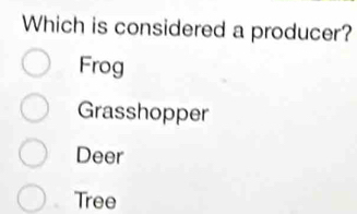 Which is considered a producer?
Frog
Grasshopper
Deer
Tree