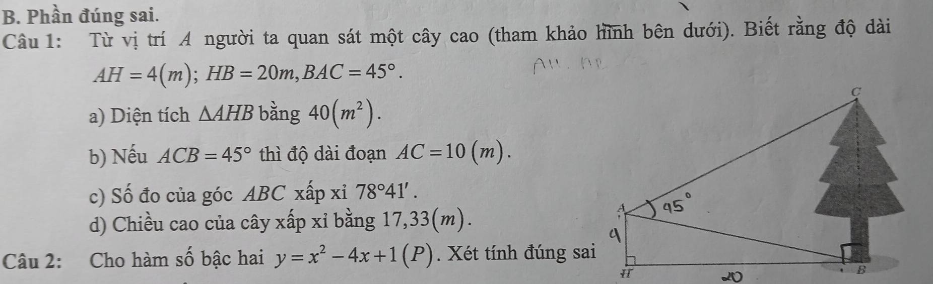 Phần đúng sai. 
Câu 1: Từ vị trí A người ta quan sát một cây cao (tham khảo hình bên dưới). Biết rằng độ dài
AH=4(m); HB=20m, BAC=45°. 
a) Diện tích △ AHB bàng 40(m^2). 
b) Nếu ACB=45° thì độ dài đoạn AC=10(m). 
c) Số đo của góc ABC xấp xỉ 78°41'. 
d) Chiều cao của cây xấp xỉ bằng 17,33(m). 
Câu 2: Cho hàm số bậc hai y=x^2-4x+1(P). Xét tính đúng sai