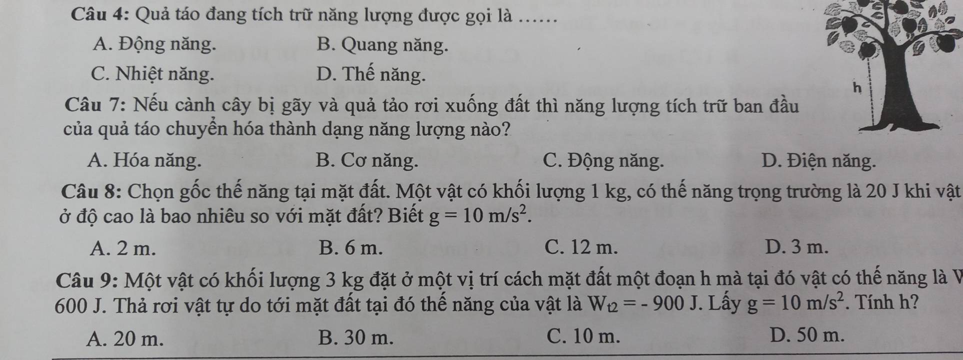 Quả táo đang tích trữ năng lượng được gọi là .....
A. Động năng. B. Quang năng.
C. Nhiệt năng. D. Thế năng.
Câu 7: Nếu cành cây bị gãy và quả tảo rơi xuống đất thì năng lượng tích trữ ban đầu
của quả táo chuyển hóa thành dạng năng lượng nào?
A. Hóa năng. B. Cơ năng. C. Động năng. D. Điện năng.
Câu 8: Chọn gốc thế năng tại mặt đất. Một vật có khối lượng 1 kg, có thế năng trọng trường là 20 J khi vật
ở độ cao là bao nhiêu so với mặt đất? Biết g=10m/s^2.
A. 2 m. B. 6 m. C. 12 m. D. 3 m.
Câu 9: Một vật có khối lượng 3 kg đặt ở một vị trí cách mặt đất một đoạn h mà tại đó vật có thế năng là V
600 J. Thả rơi vật tự do tới mặt đất tại đó thể năng của vật là W_t2=-900J. Lấy g=10m/s^2. Tính h?
A. 20 m. B. 30 m. C. 10 m. D. 50 m.