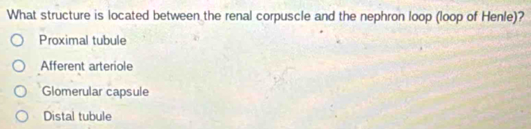 What structure is located between the renal corpuscle and the nephron loop (loop of Henle)?
Proximal tubule
Afferent arteriole
Glomerular capsule
Distal tubule