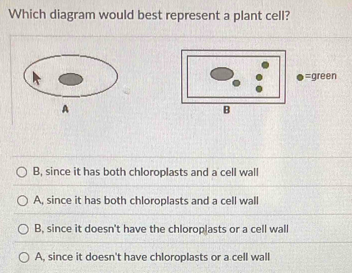 Which diagram would best represent a plant cell?
=green
A
B
B, since it has both chloroplasts and a cell wall
A, since it has both chloroplasts and a cell wall
B, since it doesn't have the chloroplasts or a cell wall
A, since it doesn't have chloroplasts or a cell wall