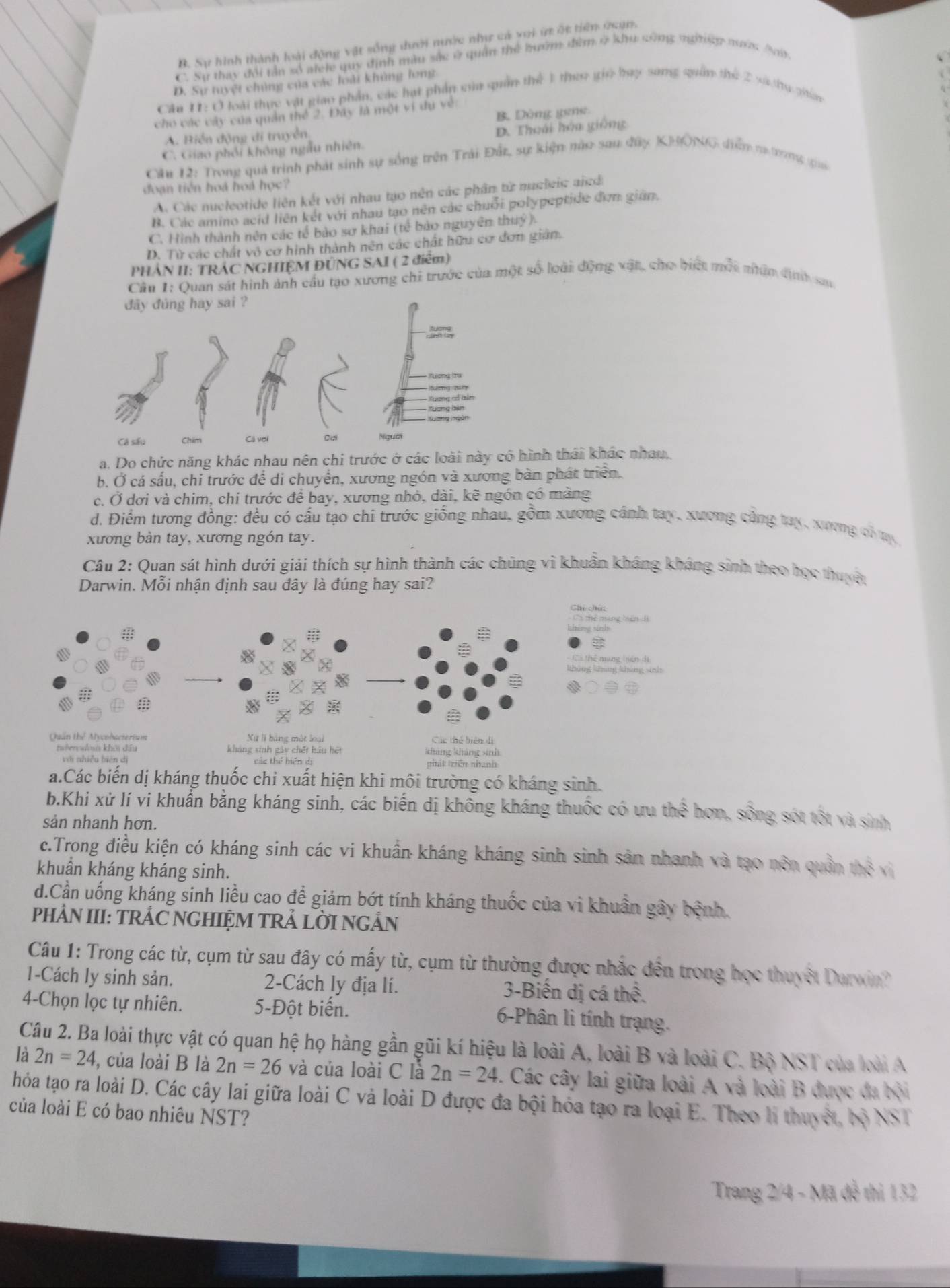 B. Sự hình thành loài động vật sống dưới nước như cá voi ứ ốt tiên ứcạn.
C. Sự thay đổi tần số alele quy định màu sắc ở quân thể hướm đềm ở khu công ngưng nược t
D. Sự tuyệt chủng của các loài khủng long
Câu H: O l loài thực vật giao phần, các hạt phần của quần thể 1 theo gio bay sang quân thứ 2 xithụ giám
cho các cây của quản thể 2. Đây là một vi dụ về
A. Biển động di truyền B. Dông geng
C. Giao phối không ngàu nhiên. D. Thoái hóa giống
Cầu 12: Trong quả trình phát sinh sự sống trên Trải Đất, sự kiện mào sau đây KHONG điểm na trong gi
đoạn tiên hoá hoá học?
A. Các nucleotide liên kết với nhau tạo nên các phân từ nucleic aicd
B. Các amino acid liên kết với nhau tạo nên các chuỗi polypeptide đơn giản.
C. Hình thành nên các tế bảo sơ khai (tế bảo nguyên thuỷ).
D. Từ các chất vô cơ hình thành nên các chất hữu cơ đơn gián.
PHẢN II: TRÁC NGHIỆM ĐÜNG SAI ( 2 điểm)
Câu 1: Quan sát hình ảnh cầu tạo xương chi trước của một số loài động vật, cho biết mốt nhận dịnh san
a. Do chức năng khác nhau nên chi trước ở các loài này có hình thái khác nhau.
b. Ở cá sấu, chi trước để di chuyển, xương ngón và xương bàn phát triển.
c. Ở dơi và chim, chi trước để bay, xương nhỏ, dài, kẽ ngón có màng
d. Điểm tương đồng: đều có cấu tạo chi trước giống nhau, gồm xương cánh tay, xương cảng tạy, xương củty
xương bàn tay, xương ngón tay.
Câu 2: Quan sát hình dưới giải thích sự hình thành các chúng vi khuẩn kháng kháng sinh theo học thuyệt
Darwin. Mỗi nhận định sau đây là đúng hay sai?
5 thể mạng hên di
#
khing sinh
Ci thể mạng hiện di
không khng khảng nh
#
◆○

Quần thể Mycohacterium Xứ lí bằng một loại Các thể biên di
tabervwlosis khởi đấu kháng sinh gây chết hầu hệt khảng khảmg sinh
vi nhiễu biên dị các thể biến dị hát niên nhanh
a.Các biến dị kháng thuốc chi xuất hiện khi môi trường có kháng sinh.
b.Khi xử lí vi khuẩn bằng kháng sinh, các biến dị không kháng thuốc có ưu thể hơn, sống sót tốt và sinh
sản nhanh hơn.
c.Trong điều kiện có kháng sinh các vi khuẩn kháng kháng sinh sinh sản nhanh và tạo nên quần thể vi
khuẩn kháng kháng sinh.
d.Cần uống kháng sinh liều cao để giảm bớt tính kháng thuốc của vì khuẩn gây bệnh.
PHẢN III: TRÁC NGHIỆM TRẢ LỜI NGẢN
Câu 1: Trong các từ, cụm từ sau đây có mấy từ, cụm từ thường được nhắc đến trong học thuyết Darwin?
1-Cách ly sinh sản. 2-Cách ly địa lí. 3-Biến dị cá t hwidehat 
4-Chọn lọc tự nhiên. 5-Đột biến. 6-Phân li tính trạng.
Câu 2. Ba loài thực vật có quan hệ họ hàng gần gũi kí hiệu là loài A, loài B và loài C. Bộ NST của loài A
là 2n=24 , của loài B là 2n=26 và của loài C là 2n=24. Các cây lai giữa loài A và loài B được đa bội
hóa tạo ra loài D. Các cây lai giữa loài C và loài D được đa bội hóa tạo ra loại E. Theo li thuyết, bộ NST
của loài E có bao nhiêu NST?
Trang 2/4 - Mã đề thi 132