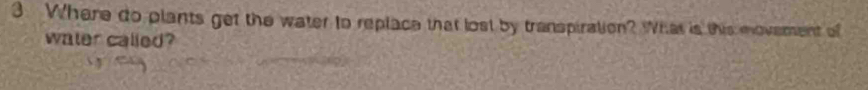 Where do plants get the water to replace that lost by transpiration? What is this movement of 
water called?