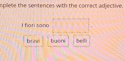 nplete the sentences with the correct adjective.
I fiori sono
bravi buoni belli