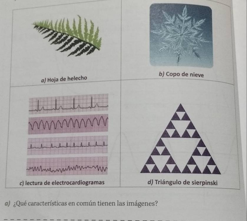 α) Hoja de helecho
c) lectura de electrocardiogramas d) Triángulo de sierpinski
α) ¿Qué características en común tienen las imágenes?