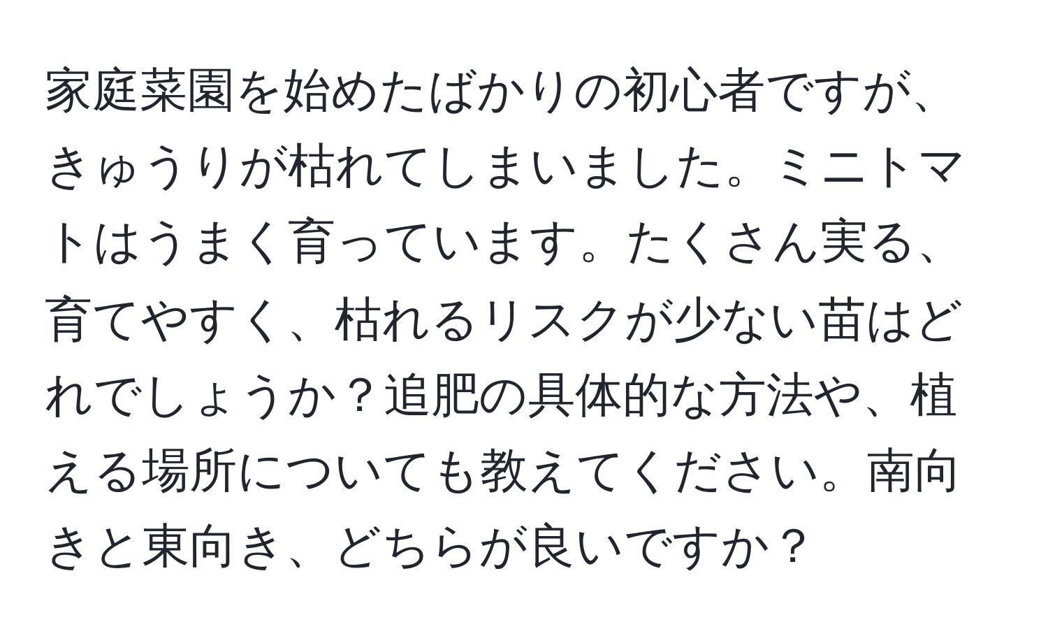 家庭菜園を始めたばかりの初心者ですが、きゅうりが枯れてしまいました。ミニトマトはうまく育っています。たくさん実る、育てやすく、枯れるリスクが少ない苗はどれでしょうか？追肥の具体的な方法や、植える場所についても教えてください。南向きと東向き、どちらが良いですか？