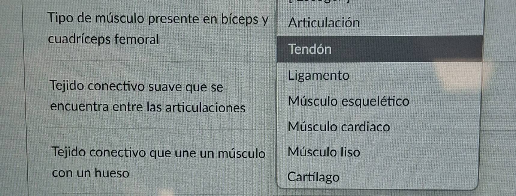 Tipo de músculo presente en bíceps y Articulación
cuadríceps femoral
Tendón
Ligamento
Tejido conectivo suave que se
encuentra entre las articulaciones
Músculo esquelético
Músculo cardiaco
Tejido conectivo que une un músculo Músculo liso
con un hueso Cartílago