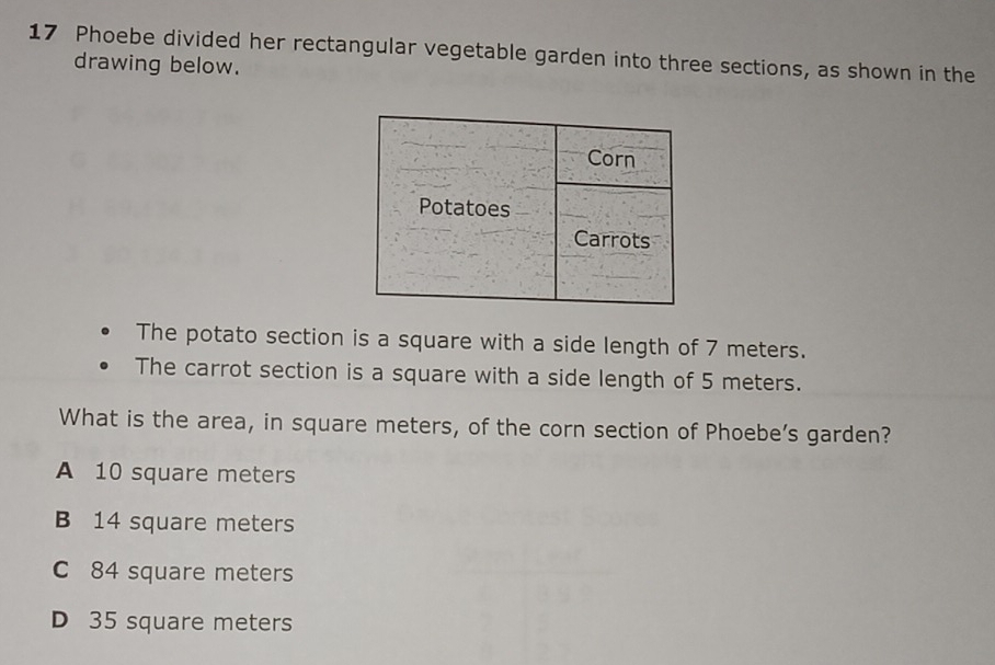 Phoebe divided her rectangular vegetable garden into three sections, as ...