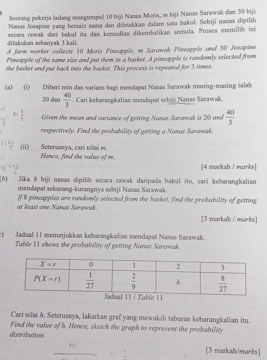 Seorang pekerja ladang mengumpul 10 biji Nanas Moris, m biji Nanas Sarawak dan 30 biji
Nanas Josapine yang bersaiz sama dan diletakkan dalam satu bakul. Sebiji nanas dipilih
secara rawak dari bakul itu dan kemudian dikembalikan semula. Proses memilih ini
dilakukan sebanyak 3 kali.
A farm worker collects 10 Moris Pineapple, m Sarawak Pineapple and 30 Josapine
Pineapple of the same size and put them in a basket. A pineapple is randomly selected from
the basket and put back into the basket. This process is repeated for 3 times.
(a) (i) Diberi min dan varians bagi mendapat Nanas Sarawak masing-masing ialah
20 dan  40/3 . Cari kebarangkalian mendapat sebiji Nanas Sarawak.
Given the mean and variance of getting Nanas Sarawak is 20 and  40/3 
respectively. Find the probability of gėtting a Nanas Sarawak.
(ii)   Seterusnya, cari nilai m.
Hence, find the value of m.
[4 markah / marks]
(b) Jika 8 biji nanas dipilih secara rawak daripada bakul itu, cari kebarangkalian
mendapat sekurang-kurangnya sebiji Nanas Sarawak.
If 8 pineapples are randomly selected from the basket, find the probability of getting
at least one Nanas Sarawak.
[3 markah / marks]
) Jadual 11 menunjukkan kebarangkalian mendapat Nanas Sarawak.
Table 11 shows the probability of getting Nanas Sarawak.
Cari nilai h. Seterusnya, lakarkan graf yang mewakili taburan kebarangkalian itu.
Find the value of h. Hence, sketch the graph to represent the probability
distribution.
[3 markah/marks]