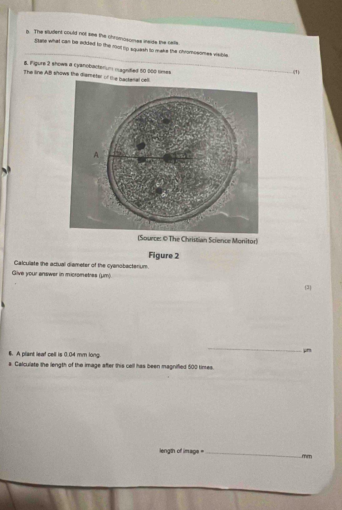 The student could not see the chromosomes inside the cells. 
State what can be added to the root tip squash to make the chromosomes visible. 
5. Figure 2 shows a cyanobacterium magnified 50 000 times 
_(1) 
The line AB shows the diameter of the bacterial cell. 
A 
(Source: © The Christian Science Monitor) 
Figure 2 
Calculate the actual diameter of the cyanobacterium. 
Give your answer in micrometres (μm) 
(3)
μm
6. A plant leaf cell is 0.04 mm long. 
_ 
a Calculate the length of the image after this cell has been magnified 500 times. 
length of image =_
mm