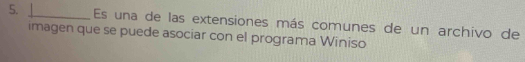 Es una de las extensiones más comunes de un archivo de 
imagen que se puede asociar con el programa Winiso