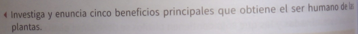 € Investiga y enuncia cinco beneficios principales que obtiene el ser humano de las 
plantas.