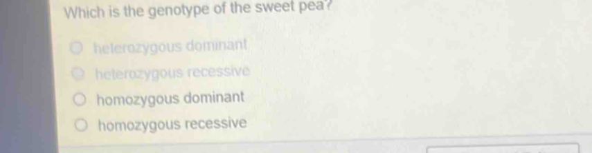 Which is the genotype of the sweet pea?
heterozygous dominant
heterozygous recessive
homozygous dominant
homozygous recessive