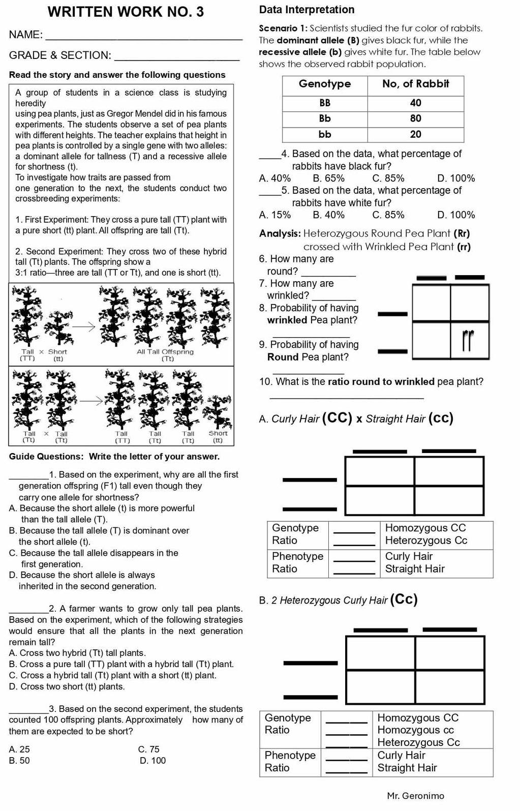 WRITTEN WORK NO. 3 Data Interpretation
NAME: _Scenario 1: Scientists studied the fur color of rabbits.
The dominant allele (B) gives black fur, while the
GRADE & SECTION:_ recessive allele (b) gives white fur. The table below
shows the observed rabbit population.
Read the story and answer the following questions
A group of students in a science class is studying
heredity 
using pea plants, just as Gregor Mendel did in his famous
experiments. The students observe a set of pea plants
with different heights. The teacher explains that height in
pea plants is controlled by a single gene with two alleles:
a dominant allele for tallness (T) and a recessive allele _4. Based on the data, what percentage of
for shortness (t). rabbits have black fur?
To investigate how traits are passed from A. 40% B. 65% C. 85% D. 100%
one generation to the next, the students conduct two _5. Based on the data, what percentage of
crossbreeding experiments:
rabbits have white fur?
1. First Experiment: They cross a pure tall (TT) plant with A. 15% B. 40% C. 85% D. 100%
a pure short (tt) plant. All offspring are tall (Tt). Analysis: Heterozygous Round Pea Plant (Rr)
2. Second Experiment: They cross two of these hybrid
crossed with Wrinkled Pea Plant (rr)
tall (Tt) plants. The offspring show a 6. How many are
3:1 ratio—three are tall (TT or Tt), and one is short (tt). round?_
7. How many are
wrinkled?_
8. Probability of having
wrinkled Pea plant?
_
9. Probability of having
Round Pea plant?
_
10. What is the ratio round to wrinkled pea plant?
_
A. Curly Hair (CC) x Straight Hair (cc)
Guide Questions: Write the letter of your answer.
_1. Based on the experiment, why are all the first
generation offspring (F1) tall even though they
carry one allele for shortness?
A. Because the short allele (t) is more powerful
than the tall allele (T).
B. Because the tall allele (T) is dominant over Genotype _Homozygous CC
the short allele (t). Ratio _Heterozygous Cc
C. Because the tall allele disappears in the Phenotype _Curly Hair
first generation. Ratio _Straight Hair
D. Because the short allele is always
inherited in the second generation.
_2. A farmer wants to grow only tall pea plants. B. 2 Heterozygous Curly Hair (Cc)
Based on the experiment, which of the following strategies
would ensure that all the plants in the next generation 
remain tall?
A. Cross two hybrid (Tt) tall plants.
B. Cross a pure tall (TT) plant with a hybrid tall (Tt) plant.
C. Cross a hybrid tall (Tt) plant with a short (tt) plant.
D. Cross two short (tt) plants.
_3. Based on the second experiment, the students
counted 100 offspring plants. Approximately how many of Genotype _Homozygous CC
them are expected to be short? Ratio _Homozygous cc
A. 25 C. 75
_Heterozygous Cc
Phenotype _Curly Hair
B. 50 D. 100 Ratio_
Straight Hair
Mr. Geronimo