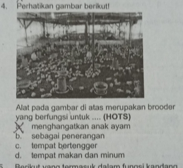 Perhatikan gambar berikut!
Alat pada gambar di atas merupakan brooder
yang berfungsi untuk .... (HOTS)
menghangatkan anak ayam
b. sebagai penerangan
c. tempat bertengger
d. tempat makan dan minum
5 Berikut vạng termasuk dalam fungsi kandang