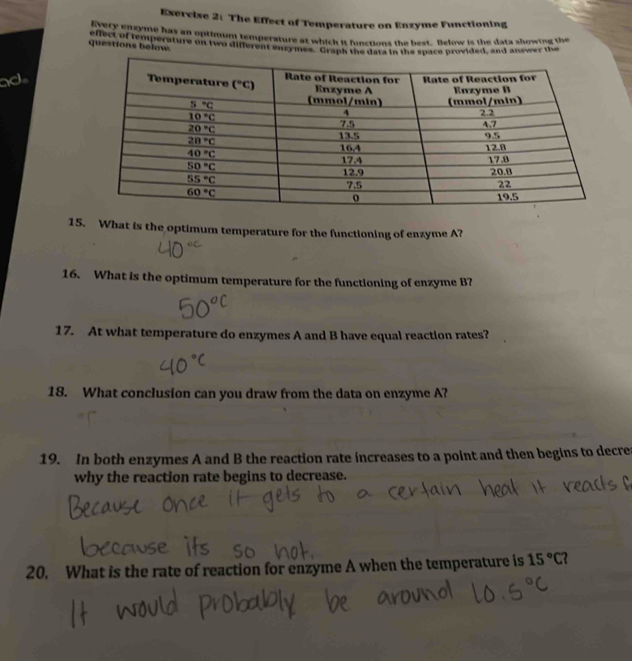 The Effect of Temperature on Enzyme Functioning
Every ensyme has an optimum temperature at which it functions the best. Below is the data showing the
effect of temperature on two different enzymes. Graph the data in the space provided, and answer the
questions below.
ad
15. What is the optimum temperature for the functioning of enzyme A?
16. What is the optimum temperature for the functioning of enzyme B?
17. At what temperature do enzymes A and B have equal reaction rates?
18. What conclusion can you draw from the data on enzyme A?
19. In both enzymes A and B the reaction rate increases to a point and then begins to decres
why the reaction rate begins to decrease.
20. What is the rate of reaction for enzyme A when the temperature is 15°C