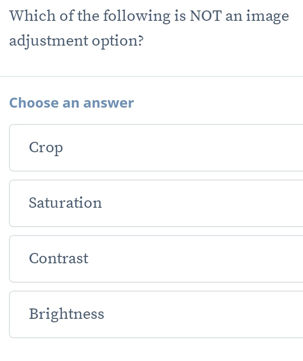 Which of the following is NOT an image
adjustment option?
Choose an answer
Crop
Saturation
Contrast
Brightness