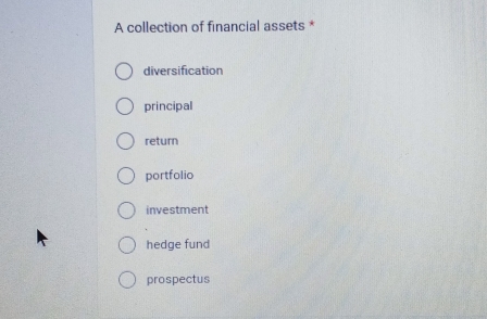 A collection of financial assets *
diversification
principal
return
portfolio
investment
hedge fund
prospectus