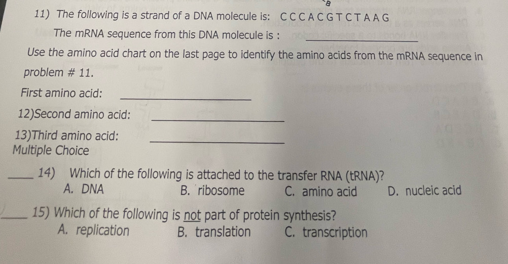 a
11) The following is a strand of a DNA molecule is: C C C A C G T C T A A G
The mRNA sequence from this DNA molecule is :_
Use the amino acid chart on the last page to identify the amino acids from the mRNA sequence in
problem # 11.
First amino acid:_
12)Second amino acid:_
13)Third amino acid:_
Multiple Choice
_14) Which of the following is attached to the transfer RNA (tRNA)?
A. DNA B. ribosome C. amino acid D. nucleic acid
_15) Which of the following is not part of protein synthesis?
A. replication B. translation C. transcription