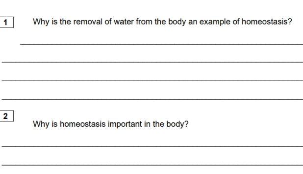 Why is the removal of water from the body an example of homeostasis? 
_ 
_ 
_ 
_ 
2 
Why is homeostasis important in the body? 
_ 
_