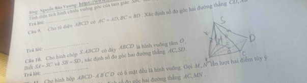 Biag: Nguyễn Bảo Vương: https w ở 
Tính diện tích hình chiêu vuông góc của tam giác SốC. 
Câu 9, Cho tử diện ABCD có AC=AD, BC=BD. Xác định số đo góc hai đường thẳng CD, Á
Trả lời: 
Trả lời: 
Cầu 10. Cho hình chóp S. ABCD có đây ABCD là hình vuỡng tâm O 
Biết SA=SC và SB=SD , xác định sổ đo góc hai đường thẳng AC, SD. 
Cho hình hộp ABCD - A'B'C'D' có 6 mặt đều là hình vuỡng. Gọi M , N' lần lượt hay ý
Trả lời: 
4 r đo gó c hai đường thắng AC, MN