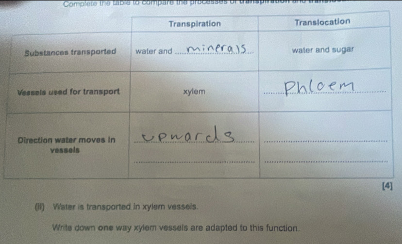 Complete the table to compare the processes of transpl 
] 
(iI) Water is transported in xylem vessels. 
Write down one way xylem vessels are adapted to this function.